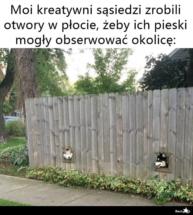 
    Kreatywni sąsiedzi 