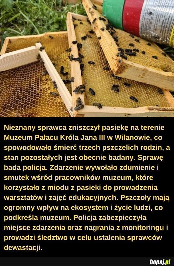 
    Brak słów.