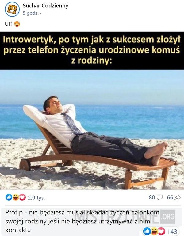 
    Introwertyk