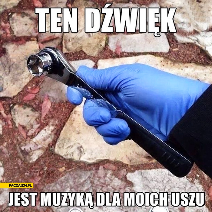 
    Ten dźwięk jest muzyką dla moich uszu