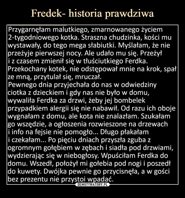 
    
Fredek- historia prawdziwa 