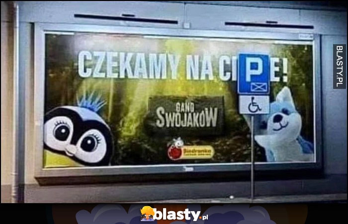 
    Czekamy na cipę Ciebie Gang Swojaków Biedronka reklama