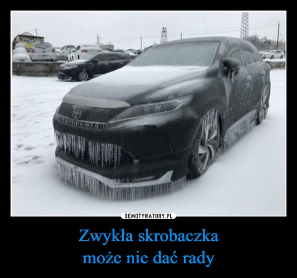 
    Zwykła skrobaczka
może nie dać rady