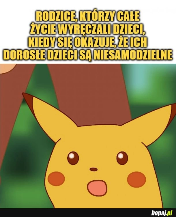 
    Szok.
