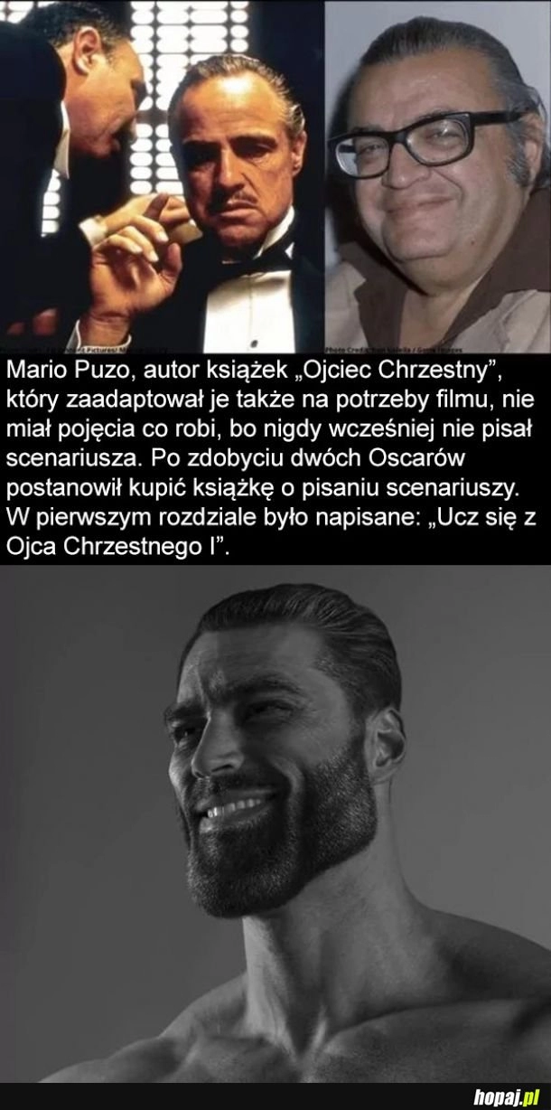 
    Mario Puzo