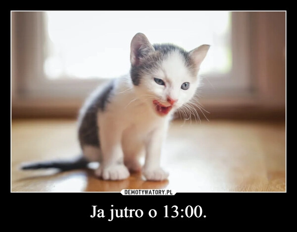 
    Ja jutro o 13:00.