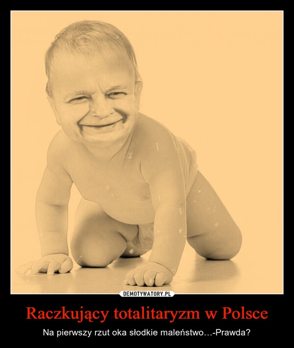 
    Raczkujący totalitaryzm w Polsce