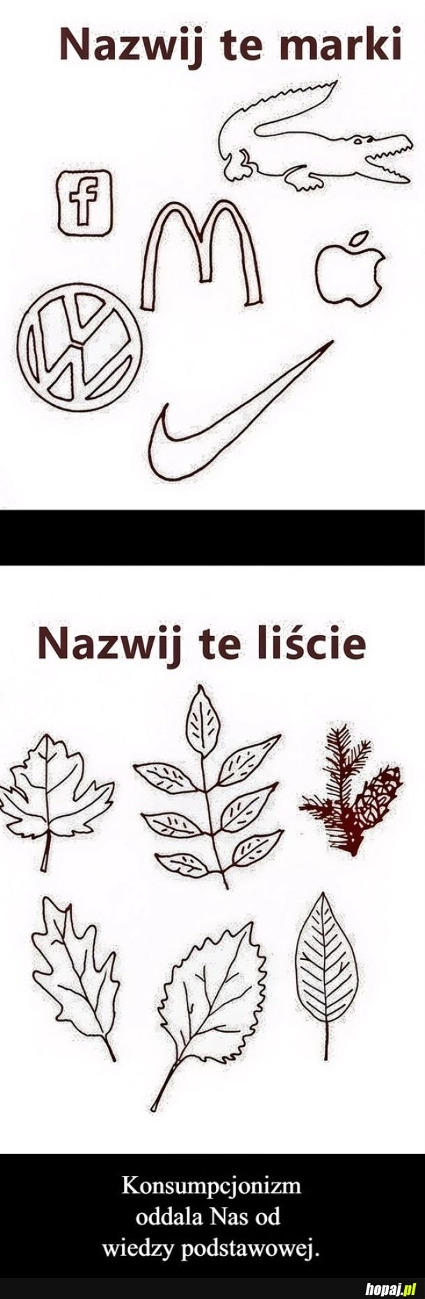 
    Nazwy