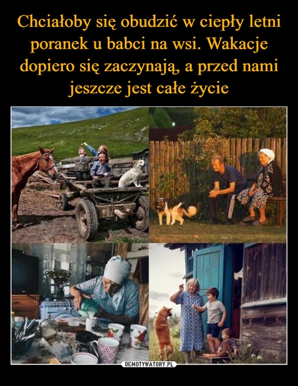 
    Chciałoby się obudzić w ciepły letni poranek u babci na wsi. Wakacje dopiero się zaczynają, a przed nami jeszcze jest całe życie