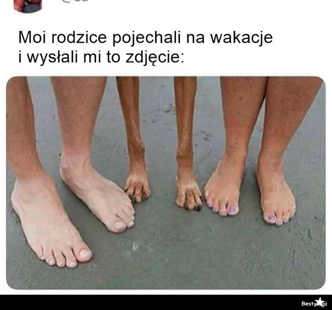 
    Zdjęcie z wakacji 