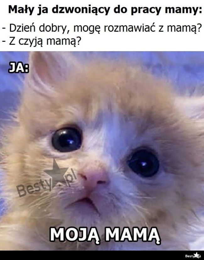 
    No jak to z czyją? 