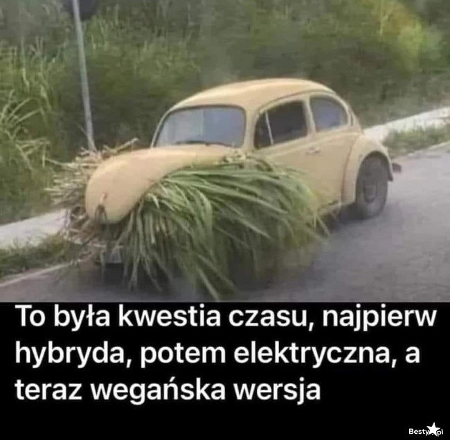 
    Wegańska wersja 