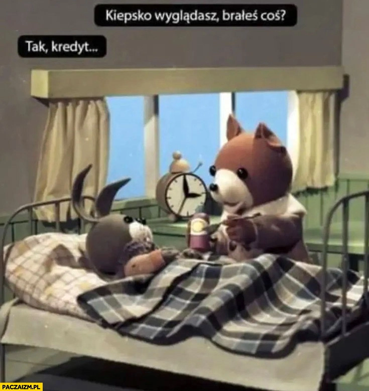 
    Kiepsko wyglądasz, brałeś coś? Tak, kredyt Miś Uszatek