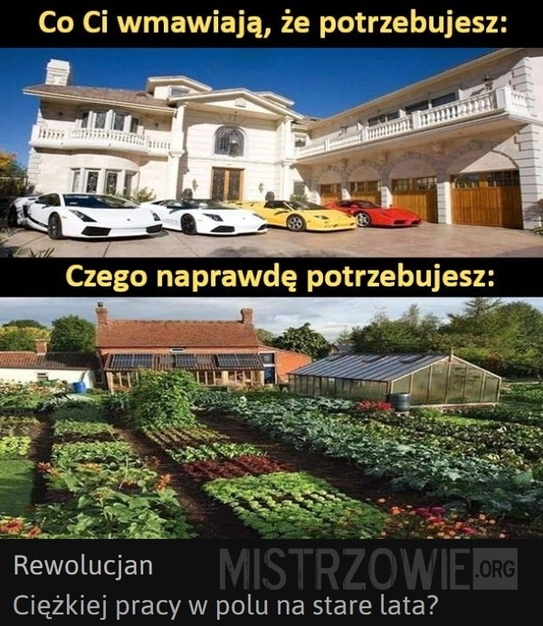 
    Czego potrzebujesz naprawdę