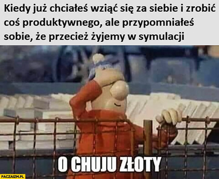 
    Kiedy już chciałeś wziąć się za siebie i zrobić coś produktywnego ale przypomniałeś sobie, że przecież żyjemy w symulacji bajka sąsiedzi