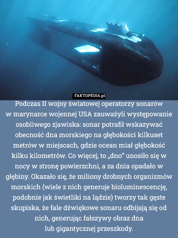 
    Podczas II wojny światowej operatorzy sonarów
w marynarce wojennej USA zauważyli