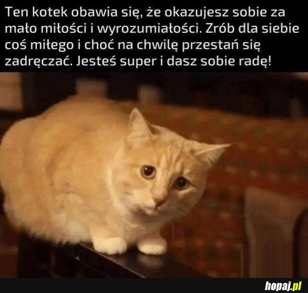 
    A taka rada