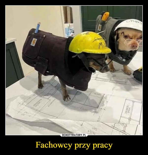 
    Fachowcy przy pracy