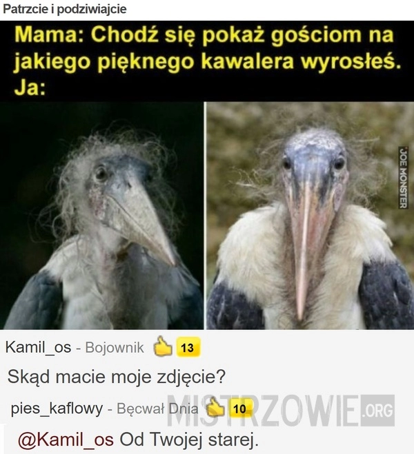 
    
			Patrzcie i podziwiajcie					