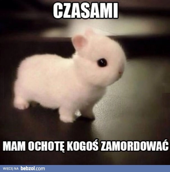 
    Są takie dni w tygodniu