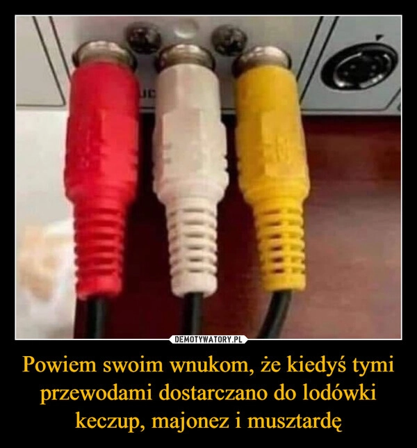 
    Powiem swoim wnukom, że kiedyś tymi przewodami dostarczano do lodówki keczup, majonez i musztardę