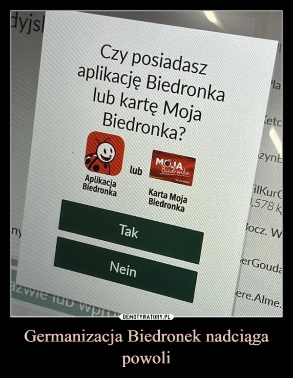 
    Germanizacja Biedronek nadciąga powoli