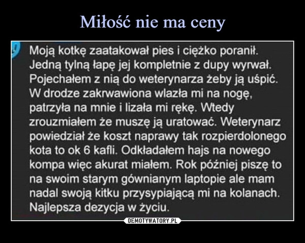 
    Miłość nie ma ceny 