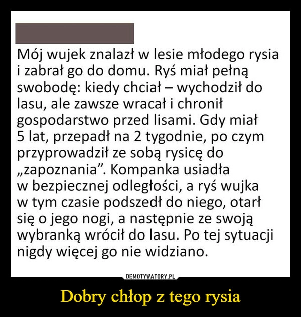 
    Dobry chłop z tego rysia