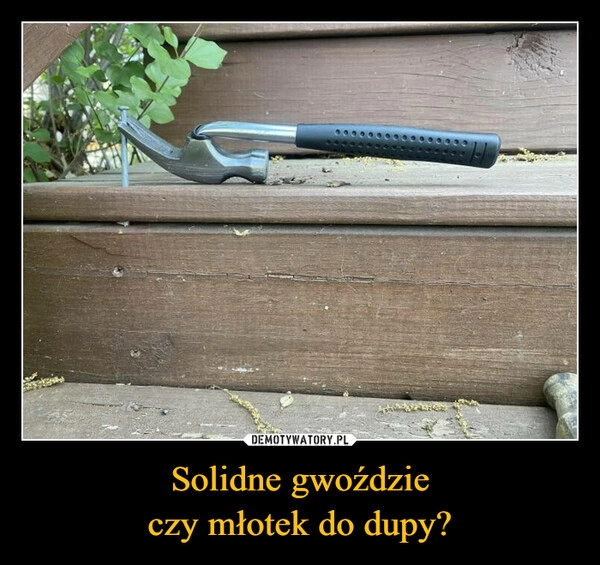 
    Solidne gwoździe
czy młotek do dupy?