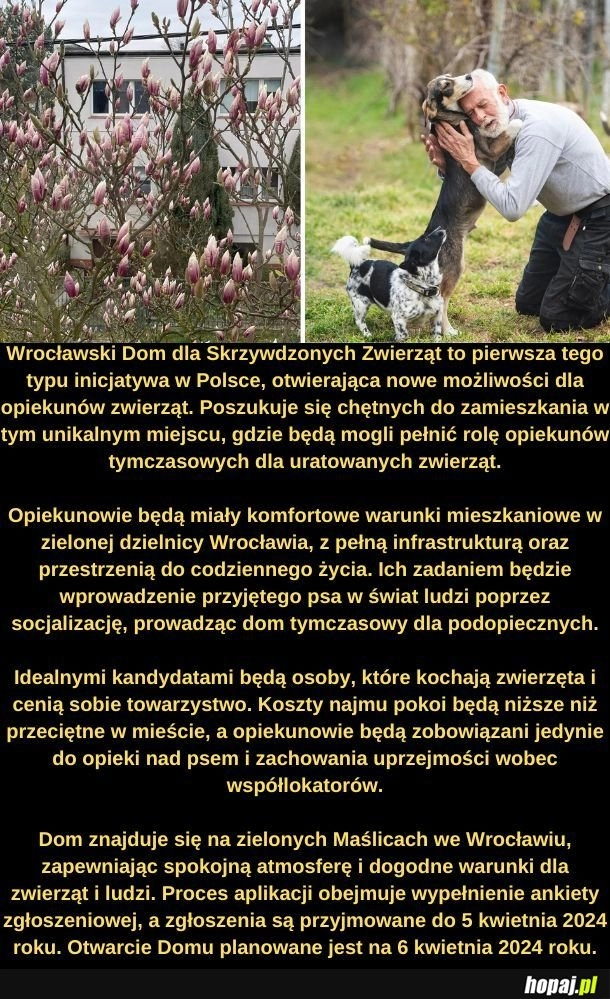 
    Dom dla Skrzywdzonych Zwierząt. 