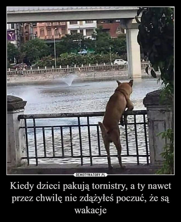 
    Kiedy dzieci pakują tornistry, a ty nawet przez chwilę nie zdążyłeś poczuć, że są wakacje