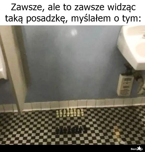 
    Szachownica 