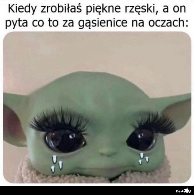 
    Podsumował 