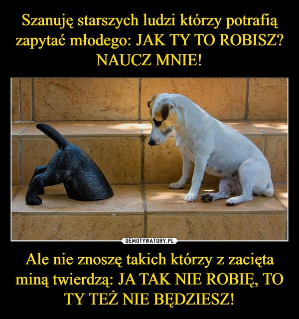 
    Szanuję starszych ludzi którzy potrafią zapytać młodego: JAK TY TO ROBISZ? NAUCZ MNIE! Ale nie znoszę takich którzy z zacięta miną twierdzą: JA TAK NIE ROBIĘ, TO TY TEŻ NIE BĘDZIESZ!