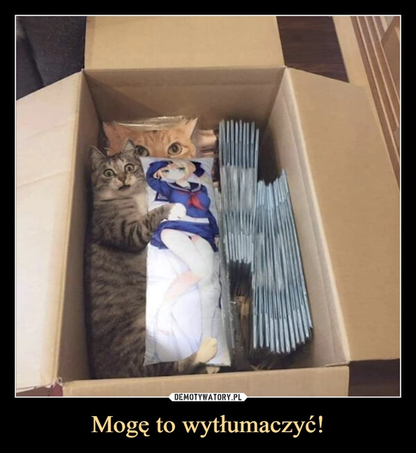 
    Mogę to wytłumaczyć! 