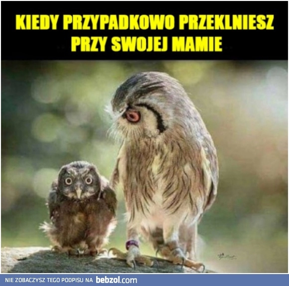 
    Pilnuj się