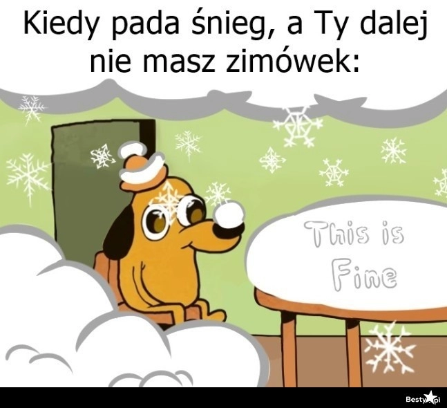 
    Zaskoczony przez śnieg 