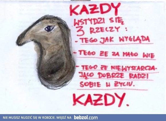 
    Każdy