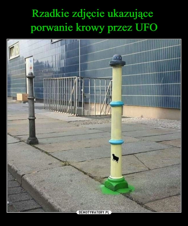 
    Rzadkie zdjęcie ukazujące 
porwanie krowy przez UFO