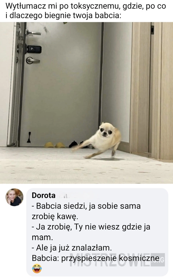 
    Babcia