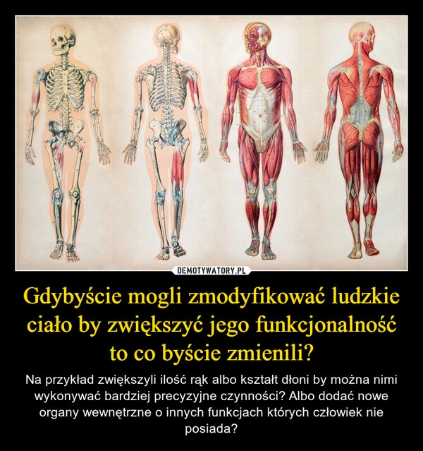 
    Gdybyście mogli zmodyfikować ludzkie ciało by zwiększyć jego funkcjonalność to co byście zmienili?