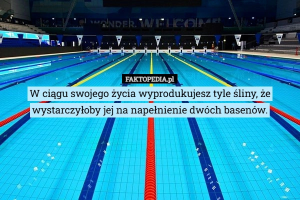 W ciągu swojego życia wyprodukujesz tyle śliny, że wystarczyłoby jej na