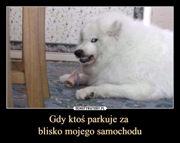 
    Gdy ktoś parkuje za
blisko mojego samochodu 