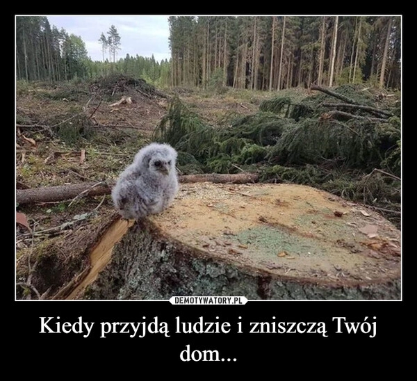 
    Kiedy przyjdą ludzie i zniszczą Twój dom...