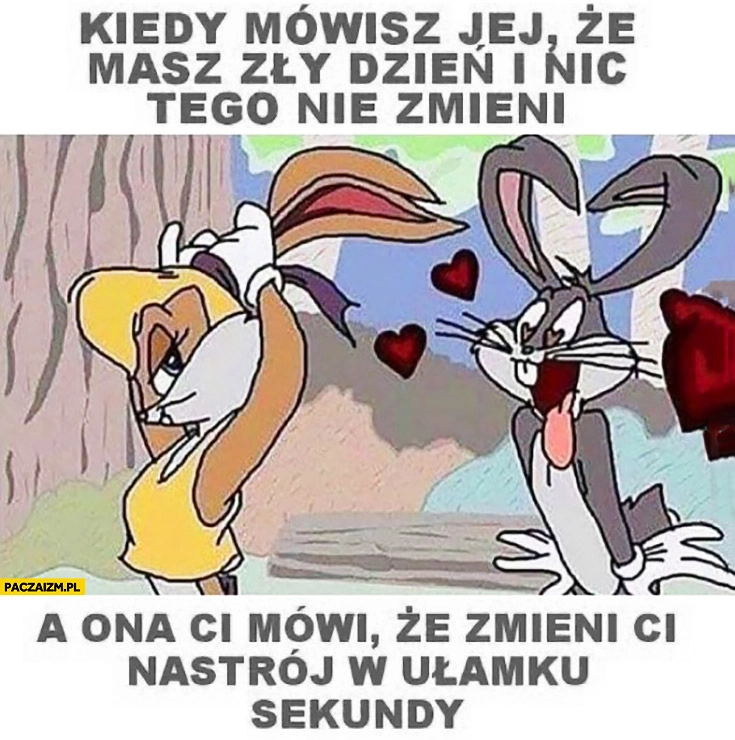 
    Kiedy mówisz jej, że masz zły dzień i nic tego nie zmieni, a ona mówi, że zmieni Ci nastrój w ułamku sekundy. Spina włosy królik Bugs