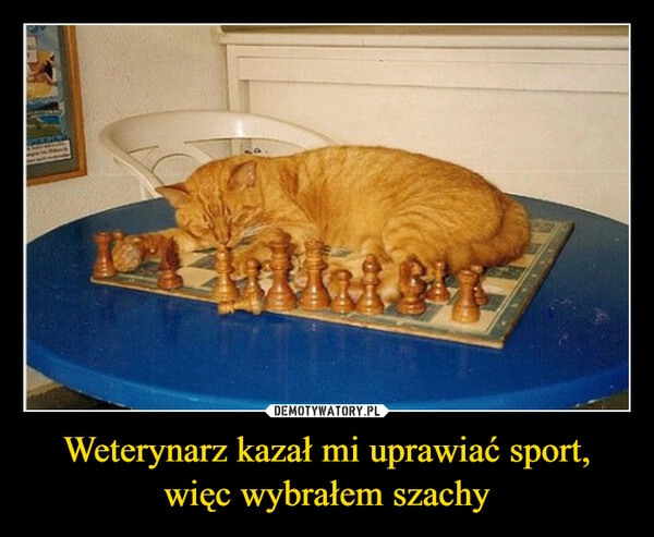 
    Weterynarz kazał mi uprawiać sport, więc wybrałem szachy