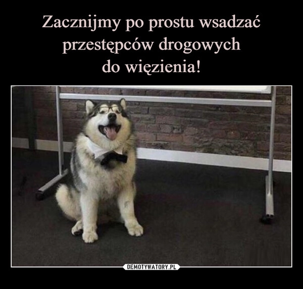 
    Zacznijmy po prostu wsadzać przestępców drogowych
do więzienia!