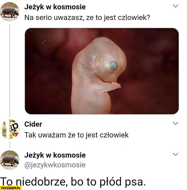 
    Płód serio uważasz, że to człowiek? Tak, uważam, że to jest człowiek. To niedobrze bo to płód psa