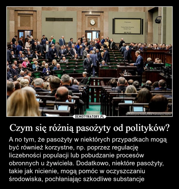 
    Czym się różnią pasożyty od polityków?