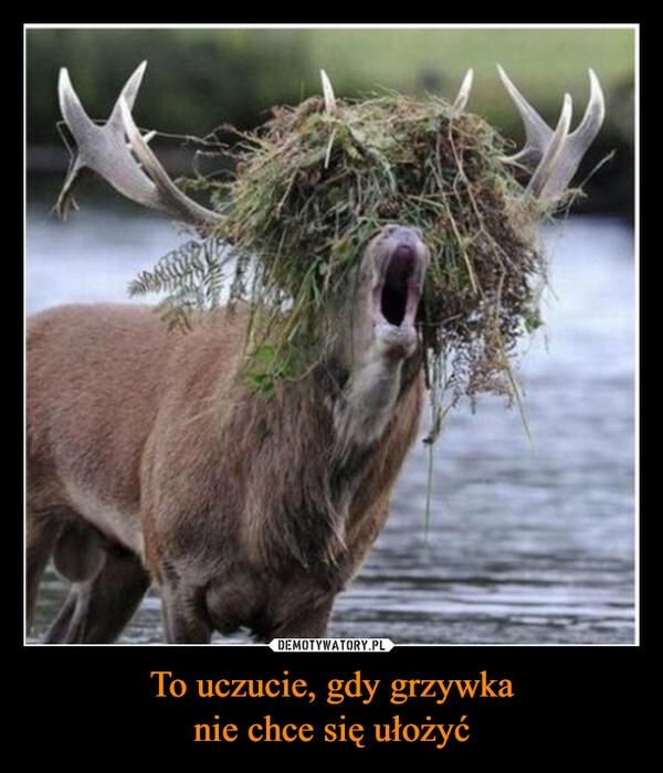 
    To uczucie, gdy grzywka
nie chce się ułożyć